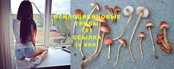 кокаин колумбия Дмитриев