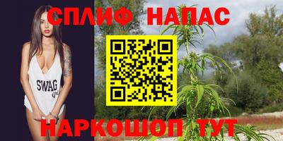 индика Волжский