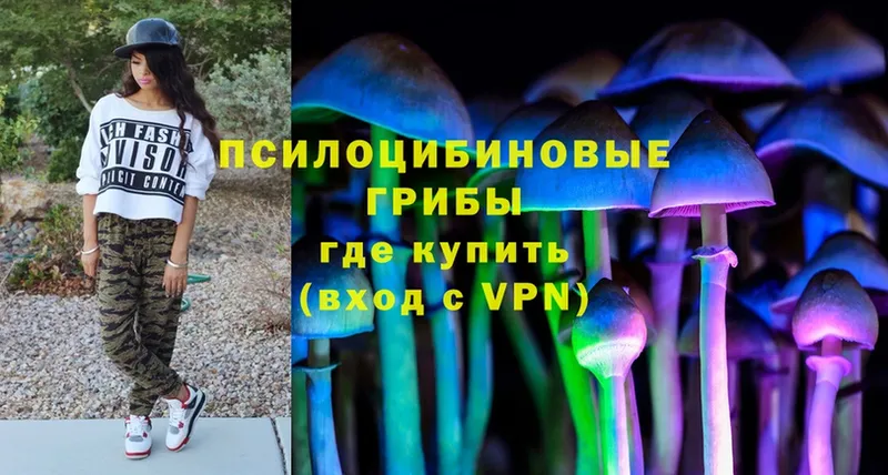 Псилоцибиновые грибы Cubensis  Изобильный 