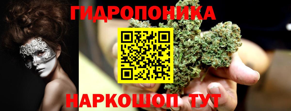 МАРИХУАНА OG Kush Изобильный
